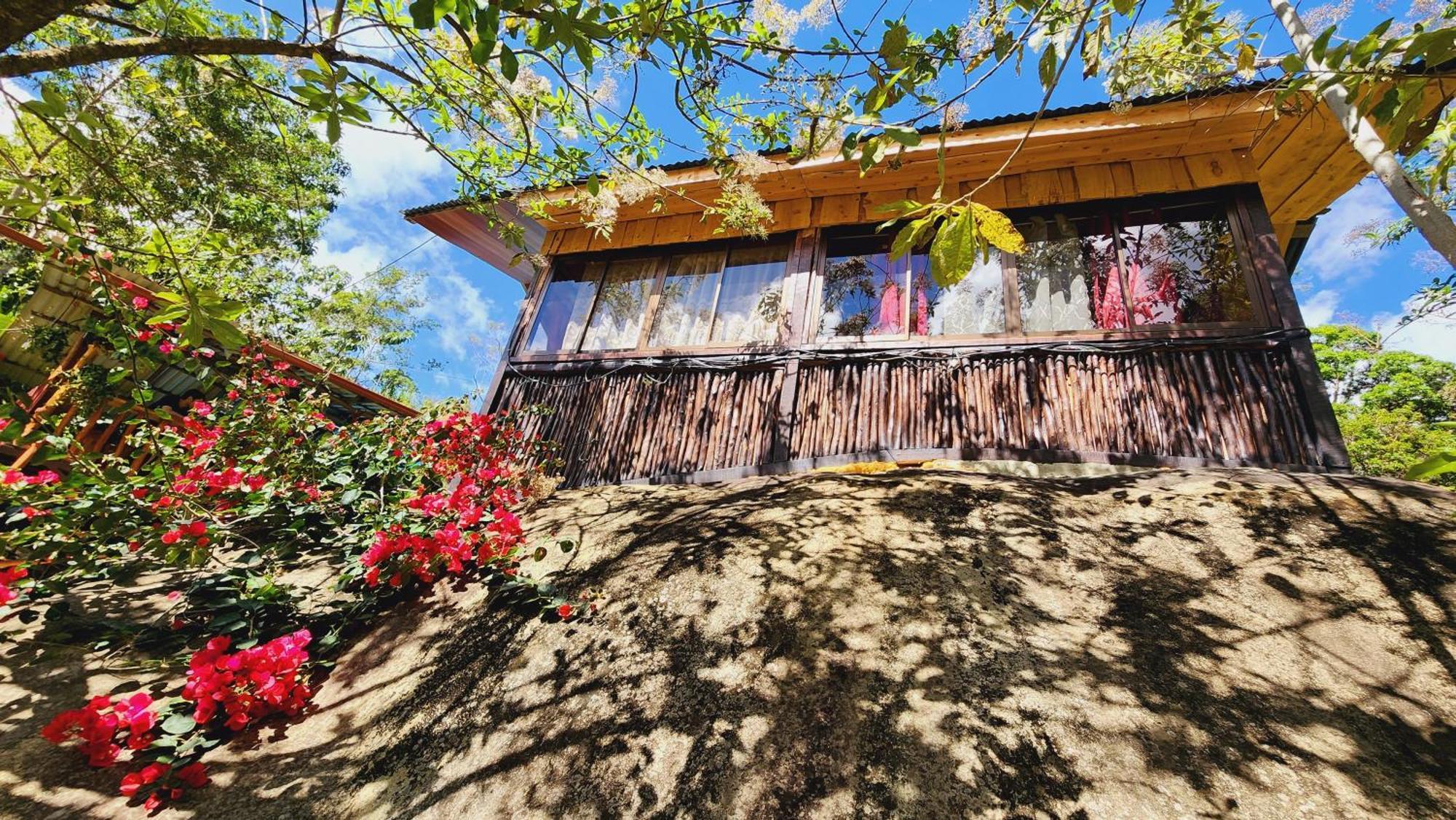 Hospedajes Richie Eco Camp Providencia Exterior foto